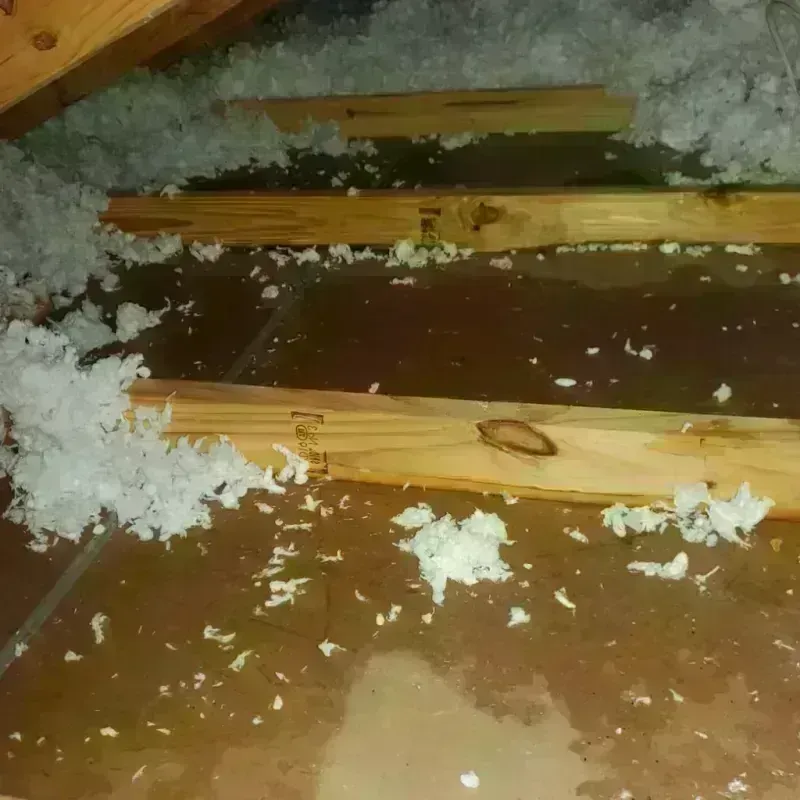 Attic Water Damage in Woodside, PA